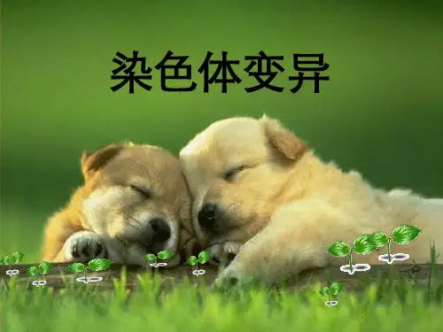 人教版必修二第五章第二节染色体变异