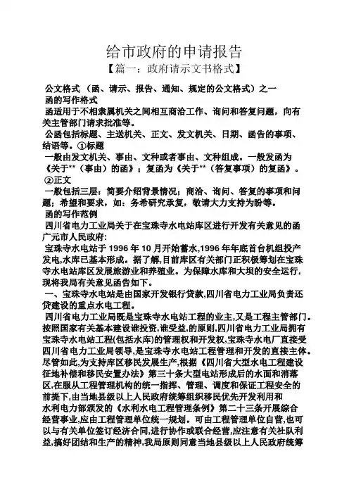 工作报告之给市政府的申请报告