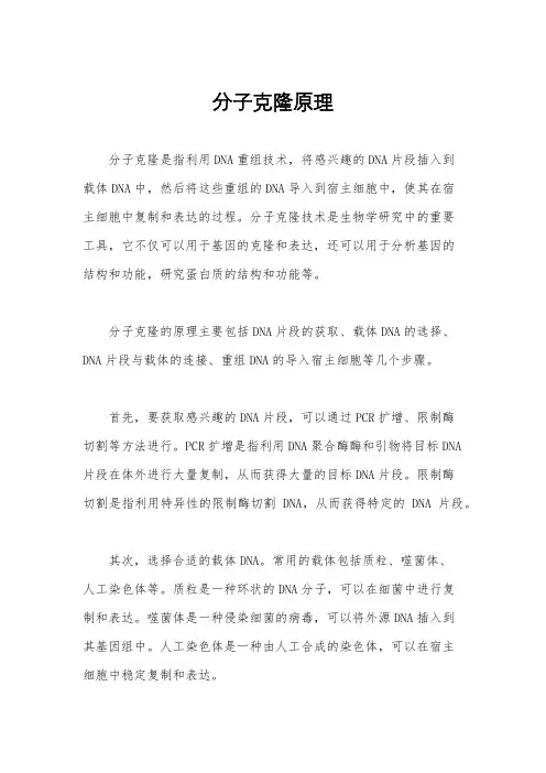 分子克隆原理