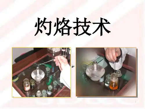 灼烙技术开发介绍