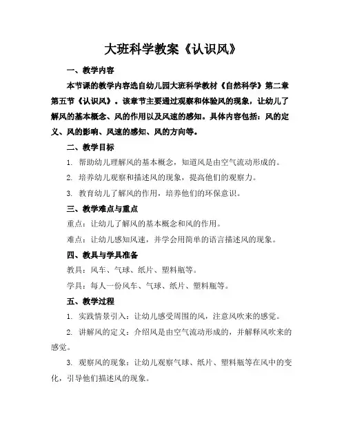 大班科学教案《认识风》