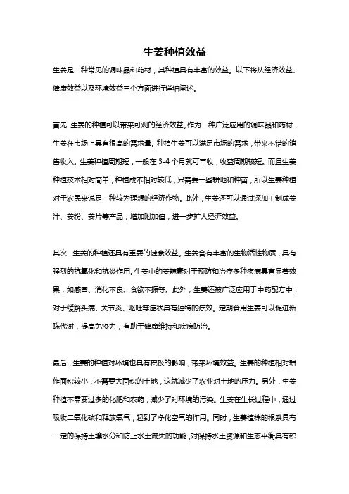 生姜种植效益