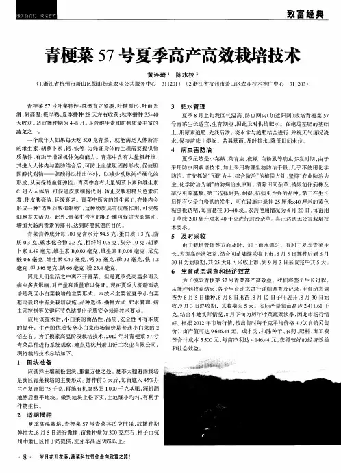 青梗菜57号夏季高产高效栽培技术