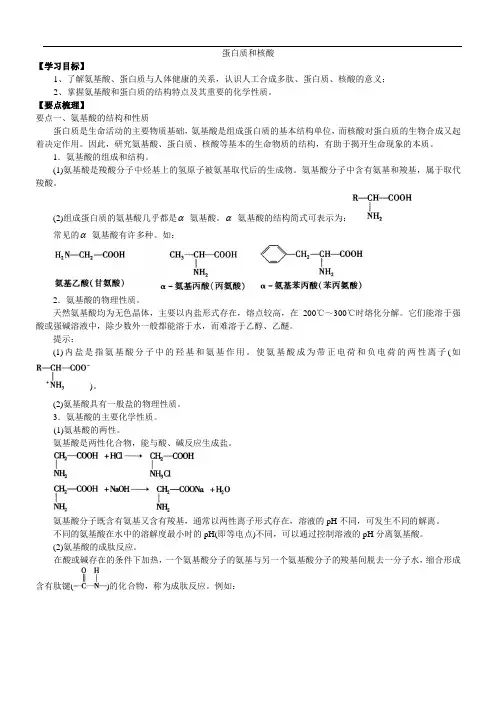 2018学年度高二化学《蛋白质和核酸》知识点归纳总结+典例导析