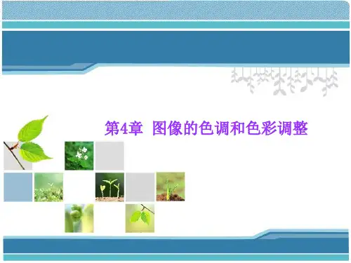 photoshop教学第4章图像的色调和色彩调整  ppt课件