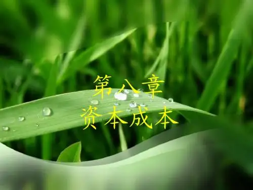 第八章资本成本