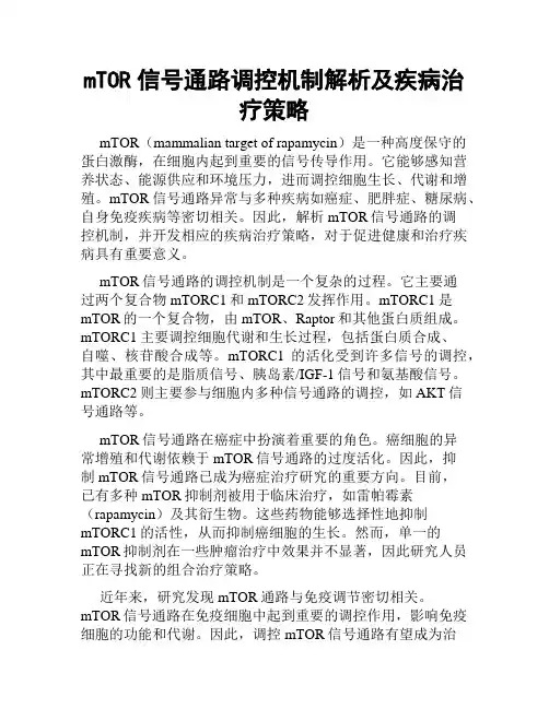 mTOR信号通路调控机制解析及疾病治疗策略