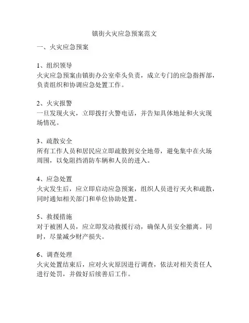 镇街火灾应急预案范文