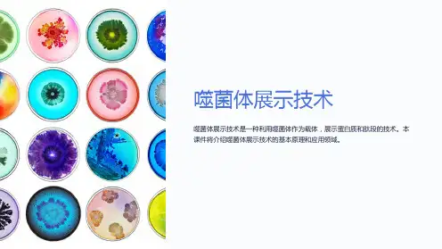 《噬菌体展示技术》课件