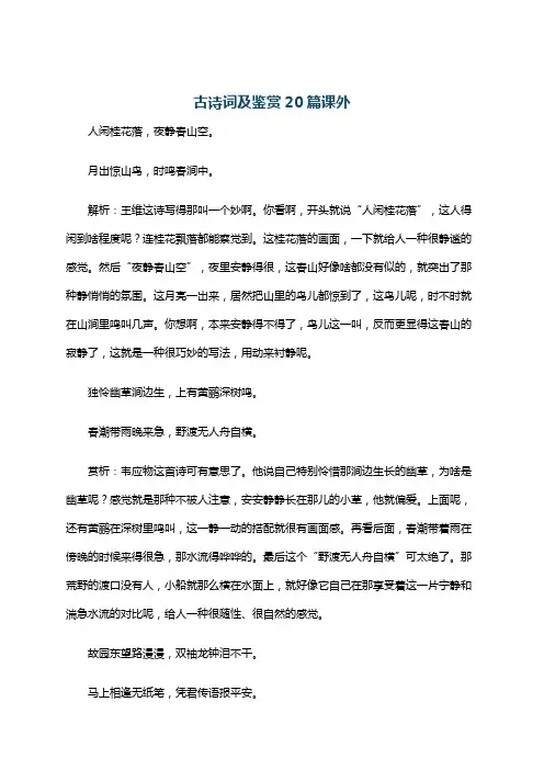 古诗词及鉴赏20篇课外