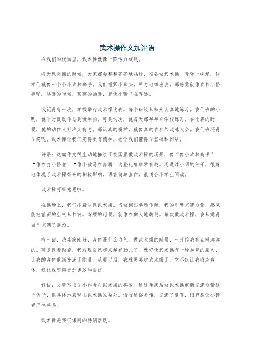 武术操作文加评语