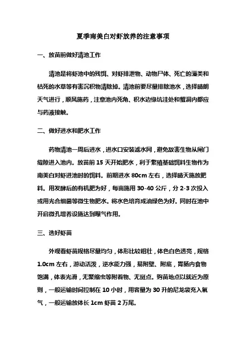 夏季南美白对虾放养的注意事项