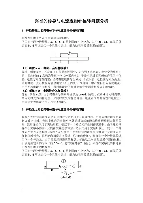 兴奋的传导与电流表指针偏转问题分析