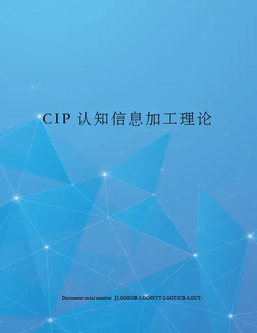 CIP认知信息加工理论