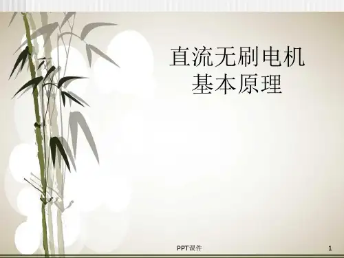 永磁电机  ppt课件