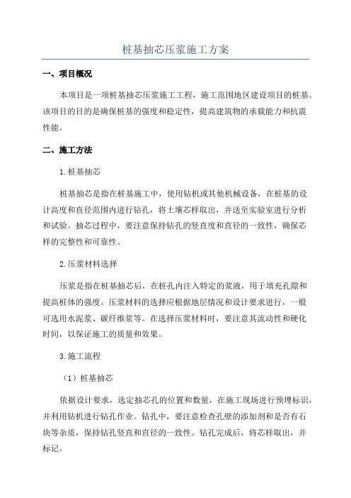 桩基抽芯压浆施工方案