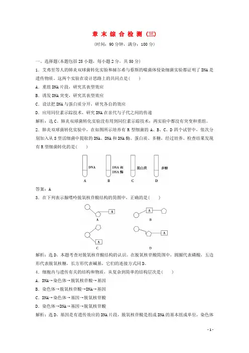 高中生物 第3章 遗传的分子基础章末综合检测 浙科版必