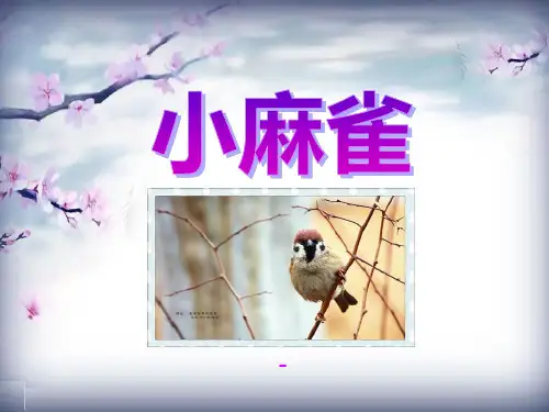 202X语文S版语文五上《小麻雀》ppt课件