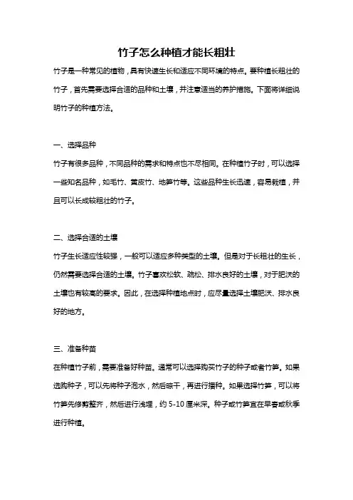 竹子怎么种植才能长粗壮
