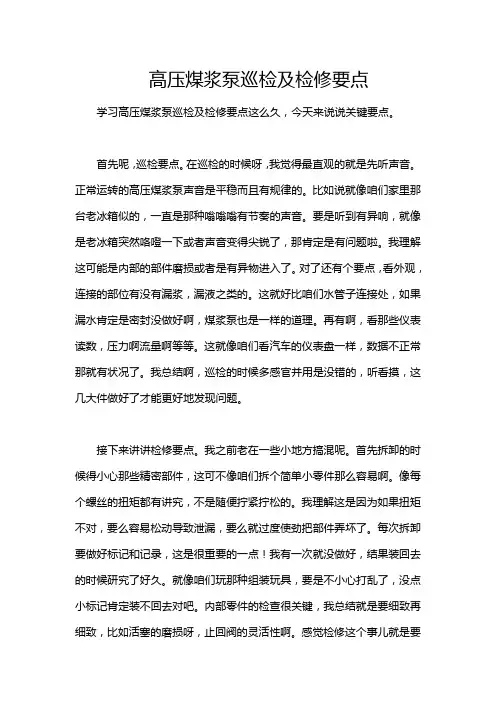 高压煤浆泵巡检及检修要点