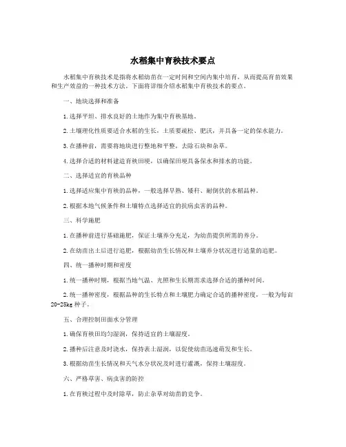 水稻集中育秧技术要点