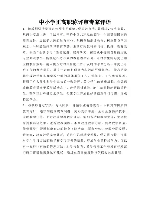 中小学正高职称评审专家评语