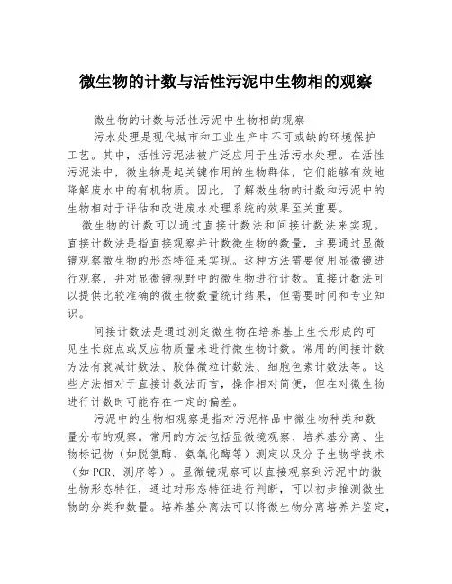 微生物的计数与活性污泥中生物相的观察