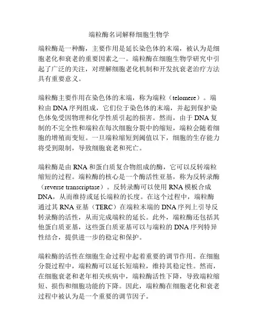 端粒酶名词解释细胞生物学