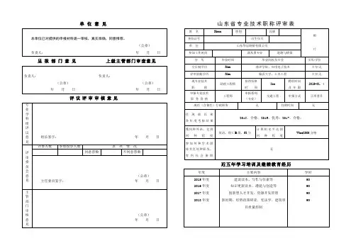 山东省专业技术职称评审表(样表填写)