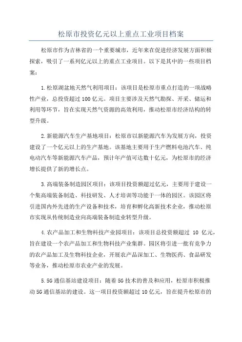 松原市投资亿元以上重点工业项目档案
