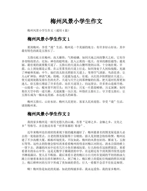 梅州风景小学生作文