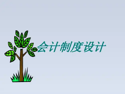 2024-《会计制度设计》会计制度设计概述