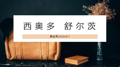 西奥多舒尔茨