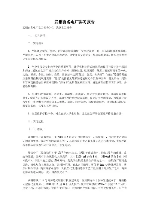 武钢自备电厂实习报告