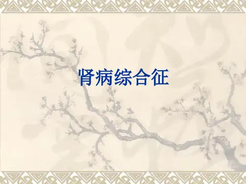 肾病综合征