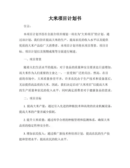大米项目计划书