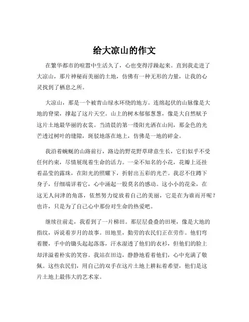 给大凉山的作文