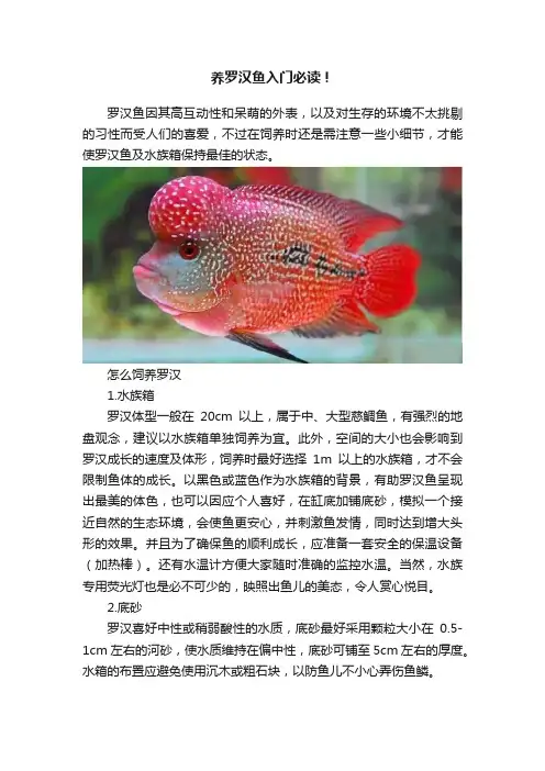 养罗汉鱼入门必读！