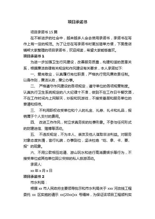 项目承诺书