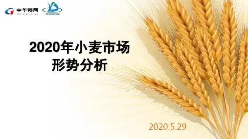 20200529---2020年小麦市场形势分析