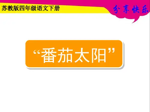 苏教版四年级语文下册《番茄太阳》ppt课件