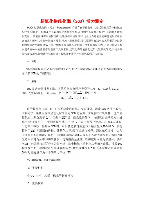 SOD活性测定