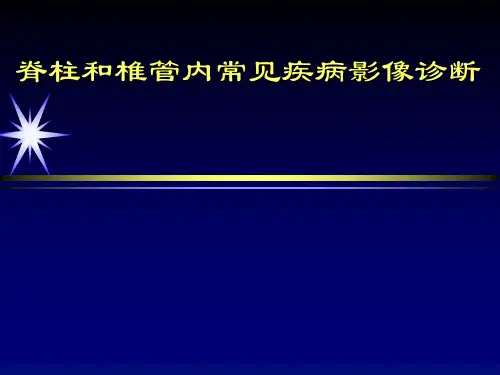 脊柱病变精品PPT课件