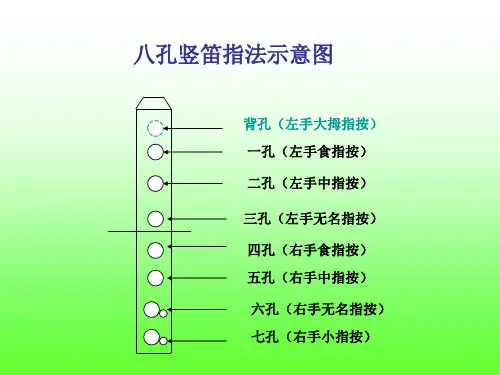 八孔竖笛指法