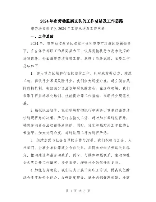 2024年市劳动监察支队的工作总结及工作思路