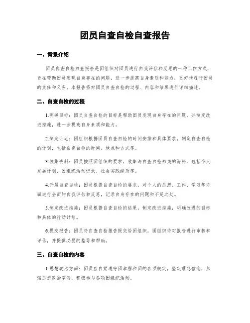 团员自查自检自查报告