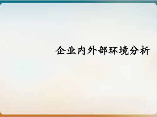 企业内外部环境分析教材模板ppt