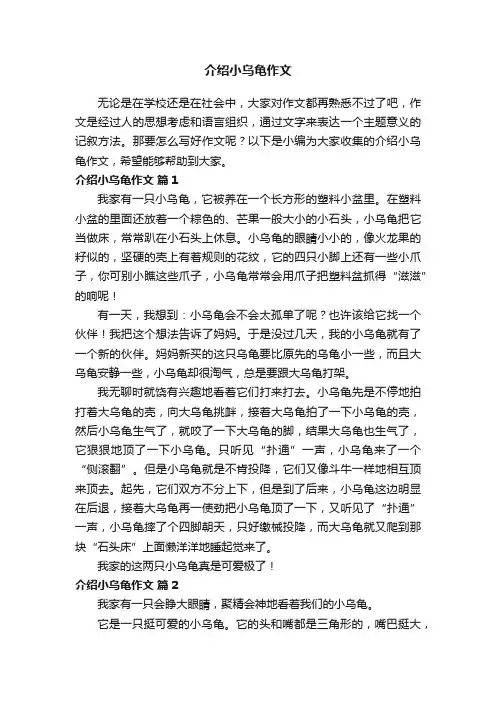 介绍小乌龟作文（精选29篇）
