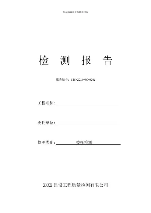 钢结构现场主体检测报告