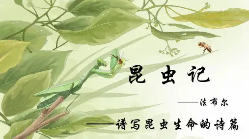 第五单元名著导读《昆虫记》 (共45张ppt)  部编版语文八年级上册